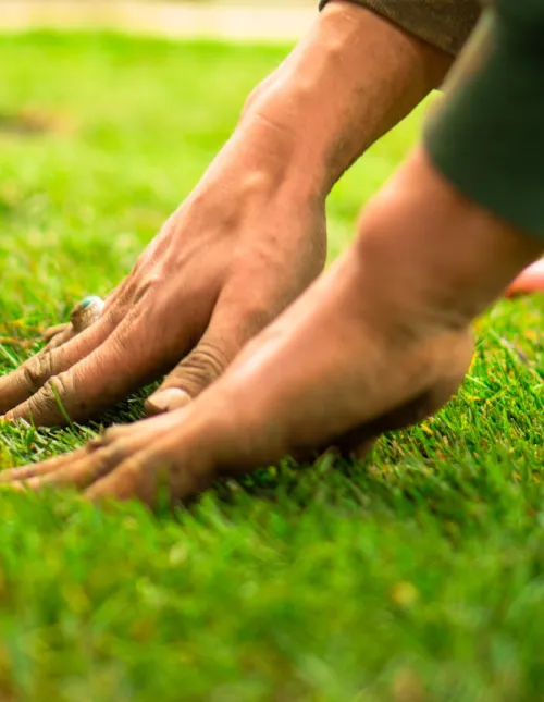 landscape services reliable seattle wa