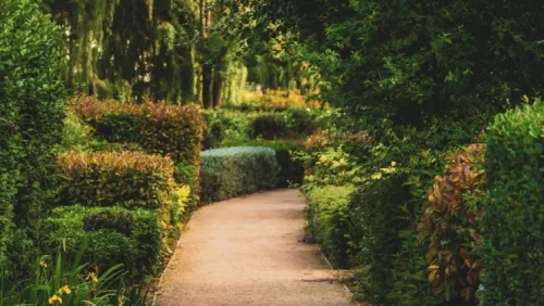 landscaping design install seattle wa