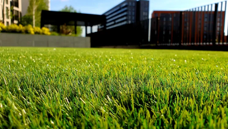 lawn care maintenance seattle wa