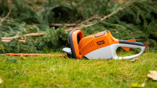 yard cleanup work seattle wa